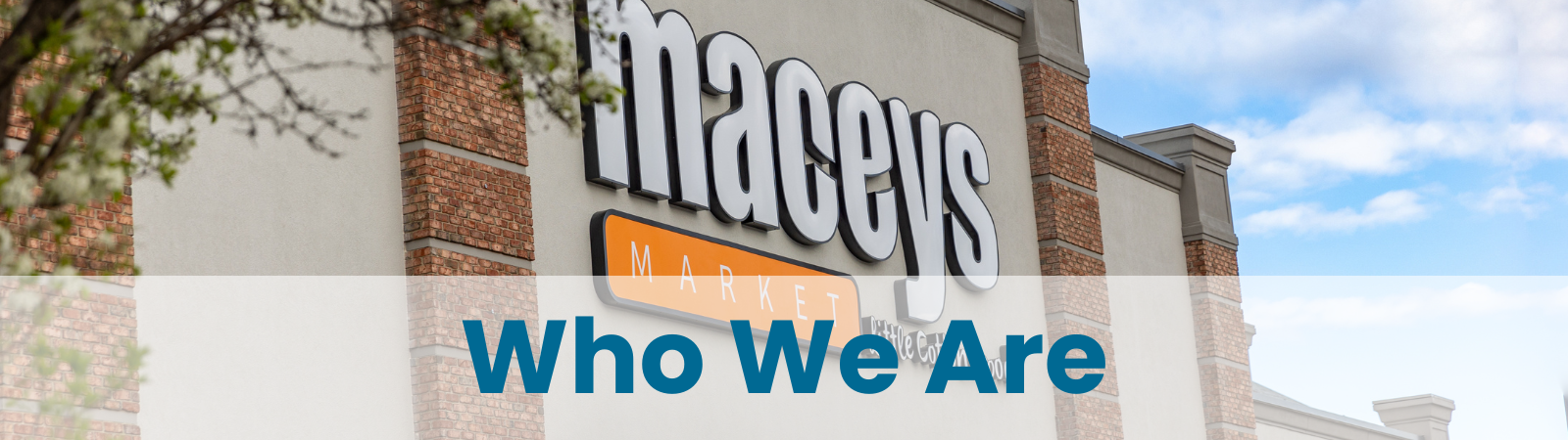 About Us - Maceys